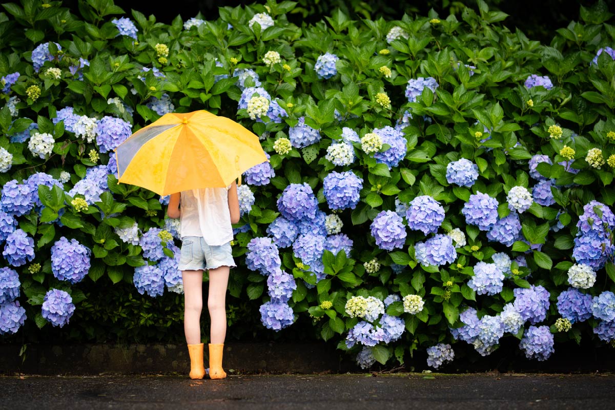 気分がちょっと上がる、お出かけのプラスワンアイテム3選