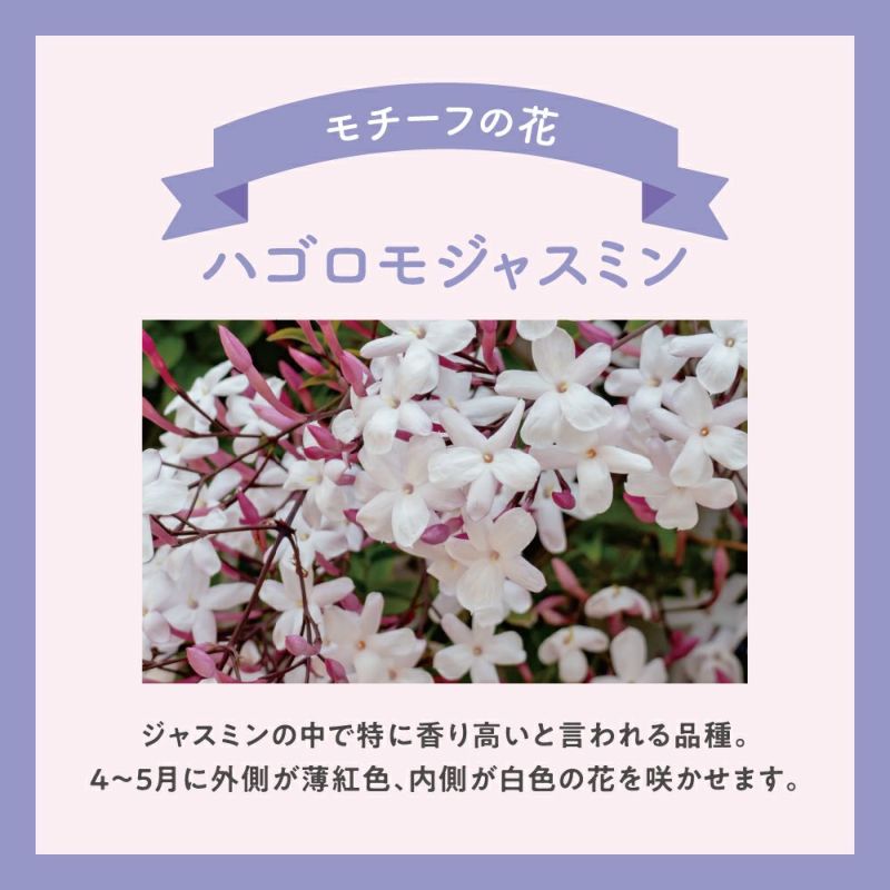 アクア シャボン ヘアー＆ボディミスト くつろぎジャスミンの